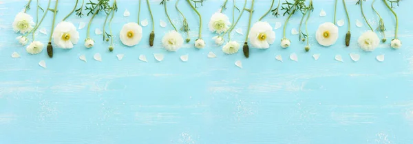 Top View Image White Flowers Composition Wooden Blue Pastel Background — Foto Stock