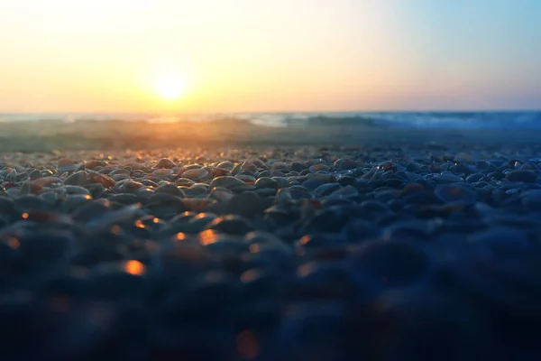 Close Imagem Conchas Durante Pôr Sol Praia — Fotografia de Stock