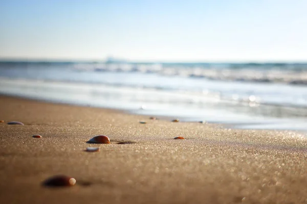 Морские Волны Теплый Закат Света Спокойный Расслабляющий Песчаный Пляж — стоковое фото