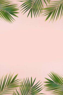 Pembe pastel arka planda tropikal yeşil palmiye resmi