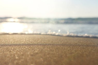 Deniz dalgaları ve ılık gün batımı ışığı, sakin ve rahatlatıcı kumsal