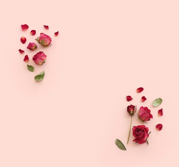 분홍빛 파스텔 있는건 꽃들의 꼭대기 — 스톡 사진