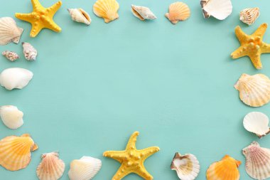deniz kabukları ve deniz yıldızları nane mavisi ahşap arka planda