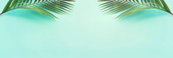 Image Tropical Green Palm Blue Pastel Background — Stock Photo, Image