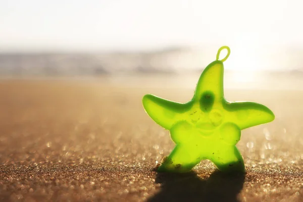 Playa Verano Arena Peces Estrella Plástico Atardecer —  Fotos de Stock