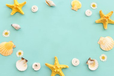 deniz kabukları ve deniz yıldızları nane mavisi ahşap arka planda