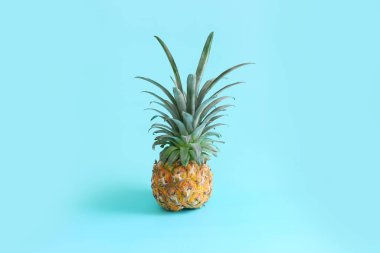 Mavi arka planda olgun ananas. Plaj ve tropikal tema