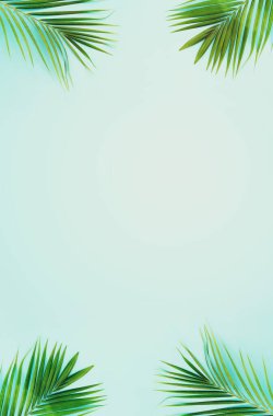 Mavi pastel üzerinde tropikal yeşil palmiye resmi