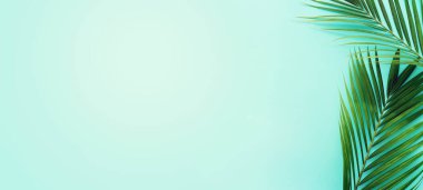 Mavi pastel üzerinde tropikal yeşil palmiye resmi