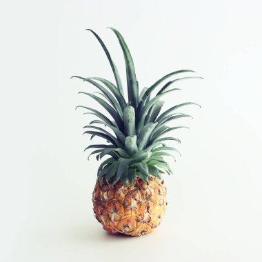 Beyaz arka planda izole edilmiş olgun ananas. Plaj ve tropikal tema