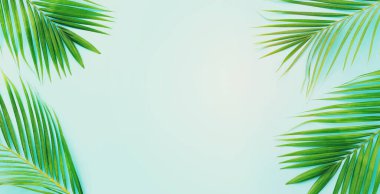 Mavi pastel üzerinde tropikal yeşil palmiye resmi