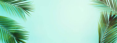 Mavi pastel üzerinde tropikal yeşil palmiye resmi