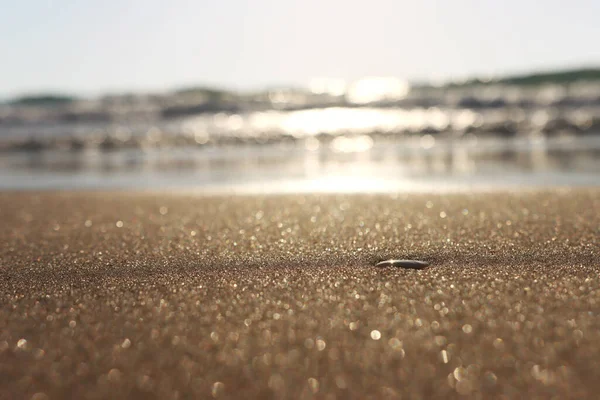 Sea Waves Warm Sunset Light Calm Relaxing Sandy Beach — Stock Photo, Image