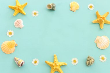 deniz kabukları ve deniz yıldızları nane mavisi ahşap arka planda