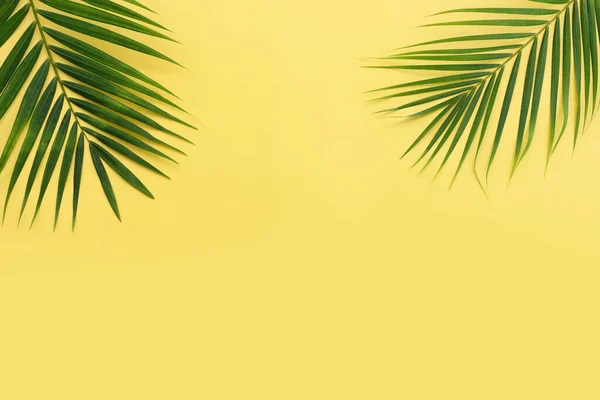 Immagine Palma Verde Tropicale Sfondo Giallo Pastello — Foto Stock