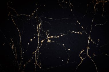 Altın ve siyah mermer sanat desenleri. Desenli soyut arkaplan.