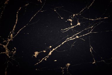 Altın ve siyah mermer sanat desenleri. Desenli soyut arkaplan.