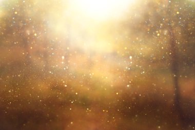 wooden table in front of interior wall and tropical green plant background. for product display and presentation.