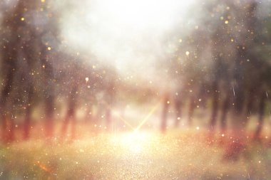 wooden table in front of interior wall and tropical green plant background. for product display and presentation.