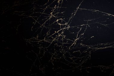 Altın ve siyah mermer sanat desenleri. Desenli soyut arkaplan.