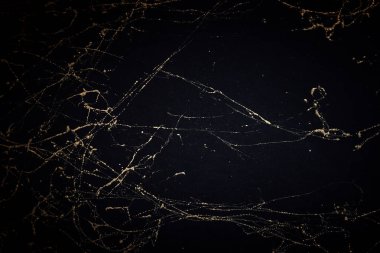 Altın ve siyah mermer sanat desenleri. Desenli soyut arkaplan.