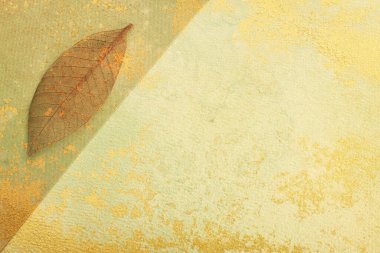 Eski arkaplan üzerinde şeffaf ve narin yapraklar