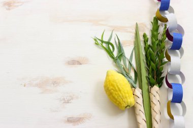 Sukkot Yahudi Festivali. Geleneksel semboller (dört tür): Etrog (citron), lulav (palmiye dalı), hadas (mersin ağacı), arava (söğüt ağacı))
