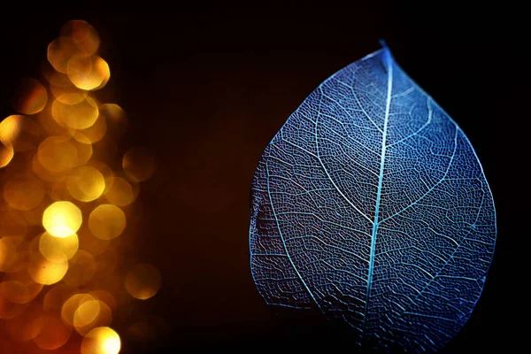 Transparent Skeleton Leaves Glitter Black Abstract Background — Stock Photo, Image