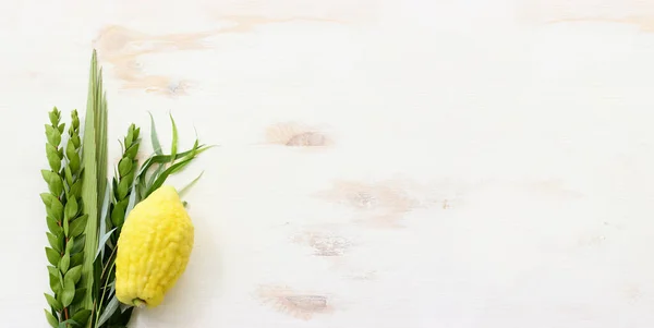 Jüdisches Sukkot Fest Traditionelle Symbole Die Vier Arten Etrog Zitrone — Stockfoto