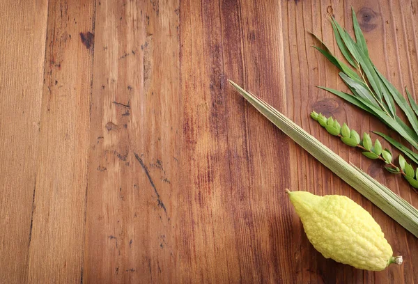 Jewish Festival Sukkot Traditional Symbols Four Species Etrog Citron Lulav — Stock Photo, Image