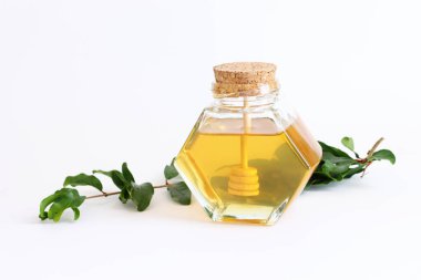 Rosh hashanah (Yahudi bayramı) kavramı - Bal geleneksel bayramı sembolü beyaz üzerine izole edilmiş