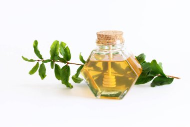 Rosh hashanah (Yahudi bayramı) kavramı - Bal geleneksel bayramı sembolü beyaz üzerine izole edilmiş