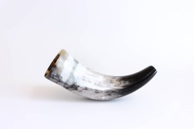 Shofar (boynuz) beyaz üzerinde izole. Rosh hashanah (Yahudi bayramı) konsepti. geleneksel bayram sembolü.