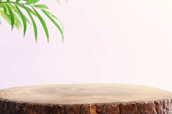 Wooden Table Front Interior Wall Tropical Green Plant Background Product — Stock fotografie