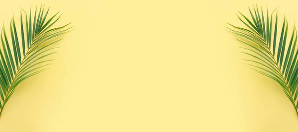 Εικόνα Του Τροπικού Πράσινου Φοίνικα Πάνω Από Κίτρινο Παστέλ Φόντο — Φωτογραφία Αρχείου