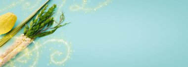 Sukkot Yahudi Festivali. Geleneksel semboller (dört tür): Etrog (citron), lulav (palmiye dalı), hadas (mersin ağacı), arava (söğüt ağacı))