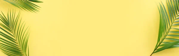 Зображення Тропічної Зеленої Долоні Жовтому Пастельному Тлі — стокове фото