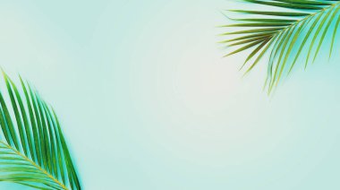 Mavi pastel üzerinde tropikal yeşil palmiye resmi