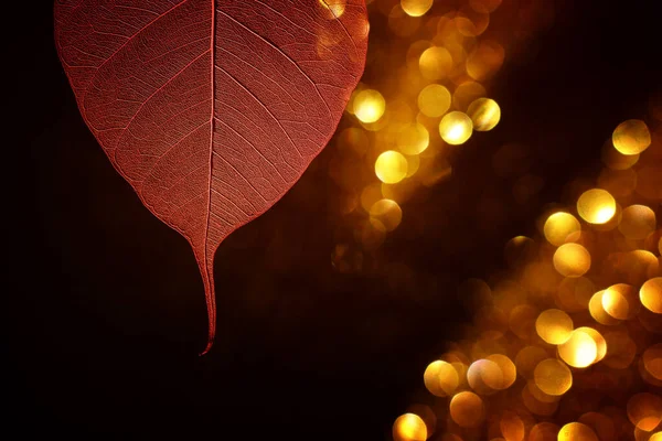 Transparent Skeleton Leaves Glitter Black Abstract Background — Stock Photo, Image