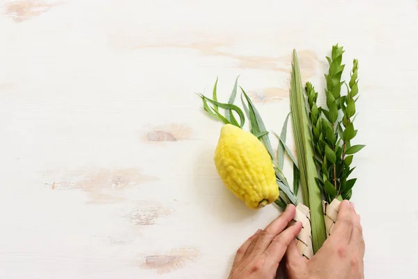 Sukkot Yahudi Festivali Geleneksel Semboller Dört Tür Etrog Citron Lulav — Stok fotoğraf