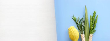 Sukkot Yahudi Festivali. Geleneksel semboller (dört tür): Etrog (citron), lulav (palmiye dalı), hadas (mersin ağacı), arava (söğüt ağacı))