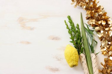 Sukkot Yahudi Festivali. Geleneksel semboller (dört tür): Etrog (citron), lulav (palmiye dalı), hadas (mersin ağacı), arava (söğüt ağacı))