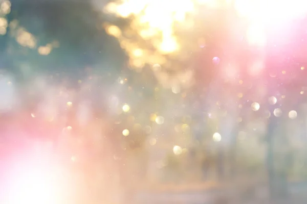 Blurred Abstract Photo Light Burst Trees Glitter Bokeh Lights — Stock Photo, Image