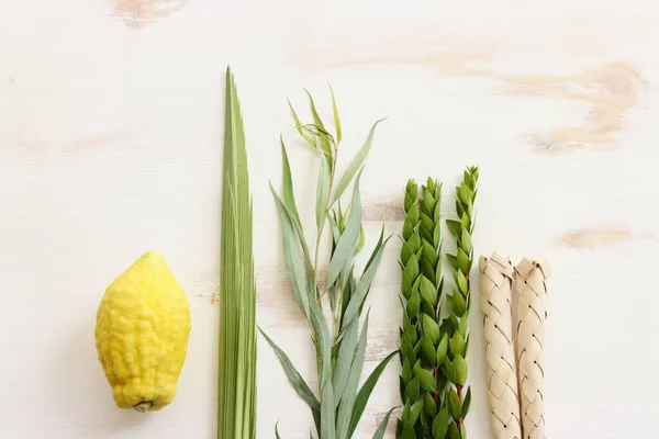 Židovský Festival Sukkotu Tradiční Symboly Čtyři Druhy Etrog Citron Lulav — Stock fotografie