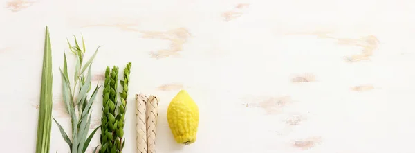 Sukkot Yahudi Festivali Geleneksel Semboller Dört Tür Etrog Citron Lulav — Stok fotoğraf