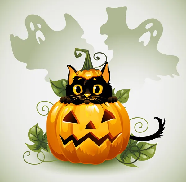 Gato preto em uma abóbora de Halloween e fantasma . — Vetor de Stock