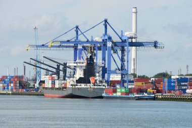 Rotterdam gemileriyle liman