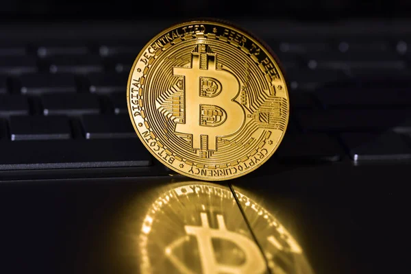 Bitcoin kripto altın sikke
