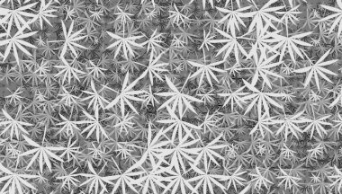 Yaprak yaprakları dekor oluşturur