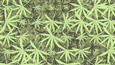 Yaprak yaprakları dekor oluşturur